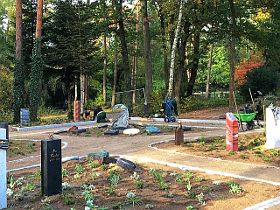 Der Bestattungsgarten Waldfriedhof Schwerin